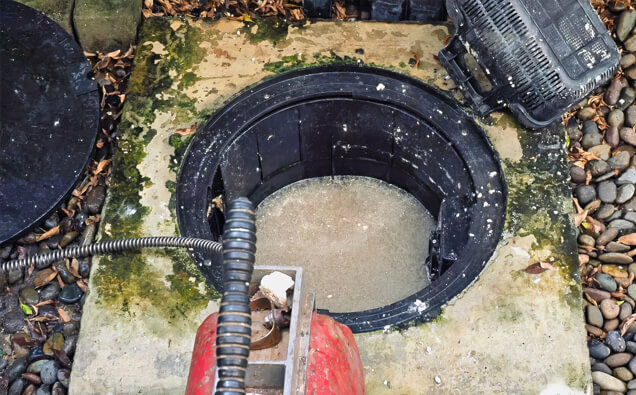 https://blockeddrainsbelmont.com.au/uploads/2025/07/blocked-drains-820453.jpg