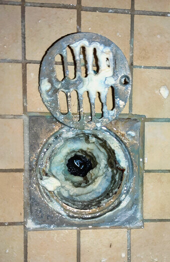 https://blockeddrainsbelmont.com.au/uploads/2025/07/blocked-shower-drains-86331.jpg