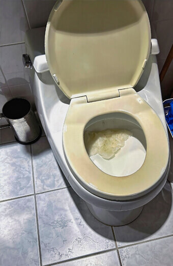 https://blockeddrainsbelmont.com.au/uploads/2025/07/blocked-toilet-27293.jpg