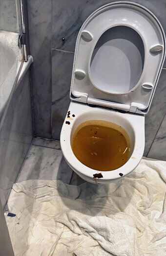https://blockeddrainsbelmont.com.au/uploads/2025/07/blocked-toilet-27793.jpg